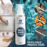 RapidEffect ™ : Mold and Dirt Remover Spray