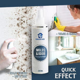RapidEffect ™ : Mold and Dirt Remover Spray