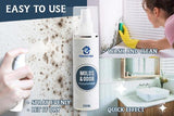 RapidEffect ™ : Mold and Dirt Remover Spray