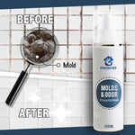 RapidEffect ™ : Mold and Dirt Remover Spray