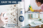 RapidEffect ™ : Mold and Dirt Remover Spray